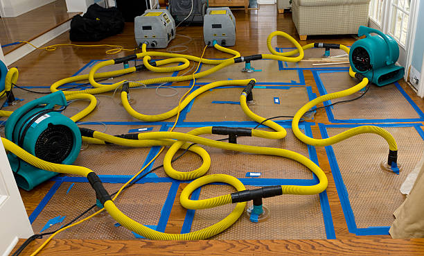 Professional Structural Drying And Dehumidification technician working in Moscow Mills, MO
